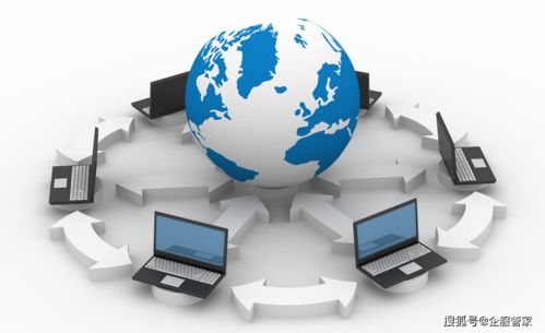 關于文網(wǎng)文,你了解多少