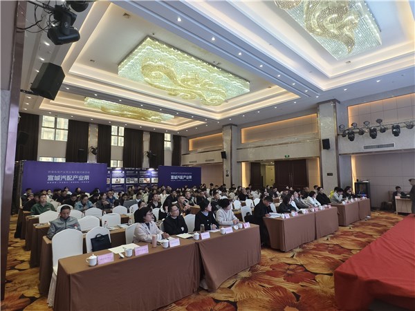 宣城汽配產業帶揚帆出海，跨境電商專場對接賦能企業建站新篇