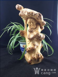 崖柏留疤精品達摩