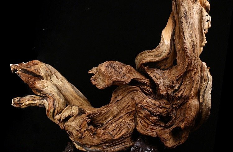 千年崖柏木 太行山陳化料雕件中的鬼斧神工與根藝之美