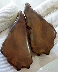 如何判定崖柏是否屬于精品 從紋理、香味到藝術價值的綜合指南