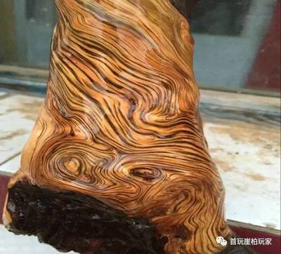 崖柏能否升值？關鍵就看這五點！