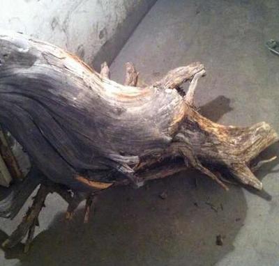 新手必知 崖柏三大養生功效及其他柏香木特點